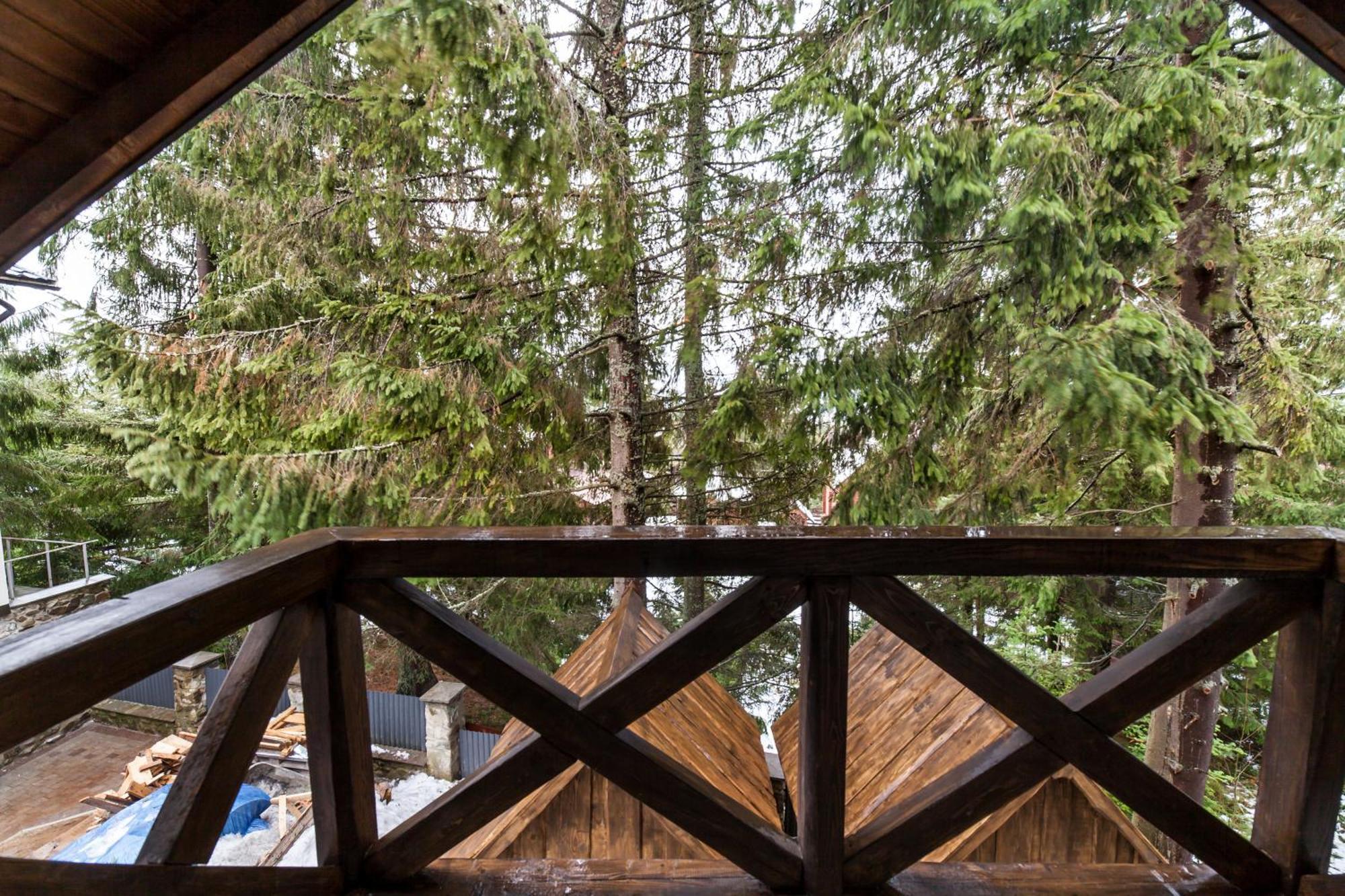 Alpiyskiy Jablunyzja Zimmer foto